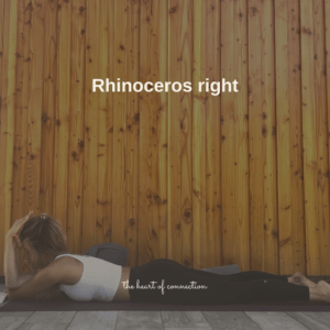 Rhinoceros right yin