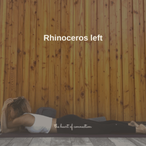 Rhinoceros left yin