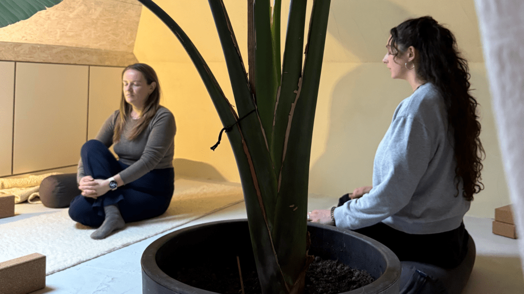 yin yoga houding passend bij meridianen