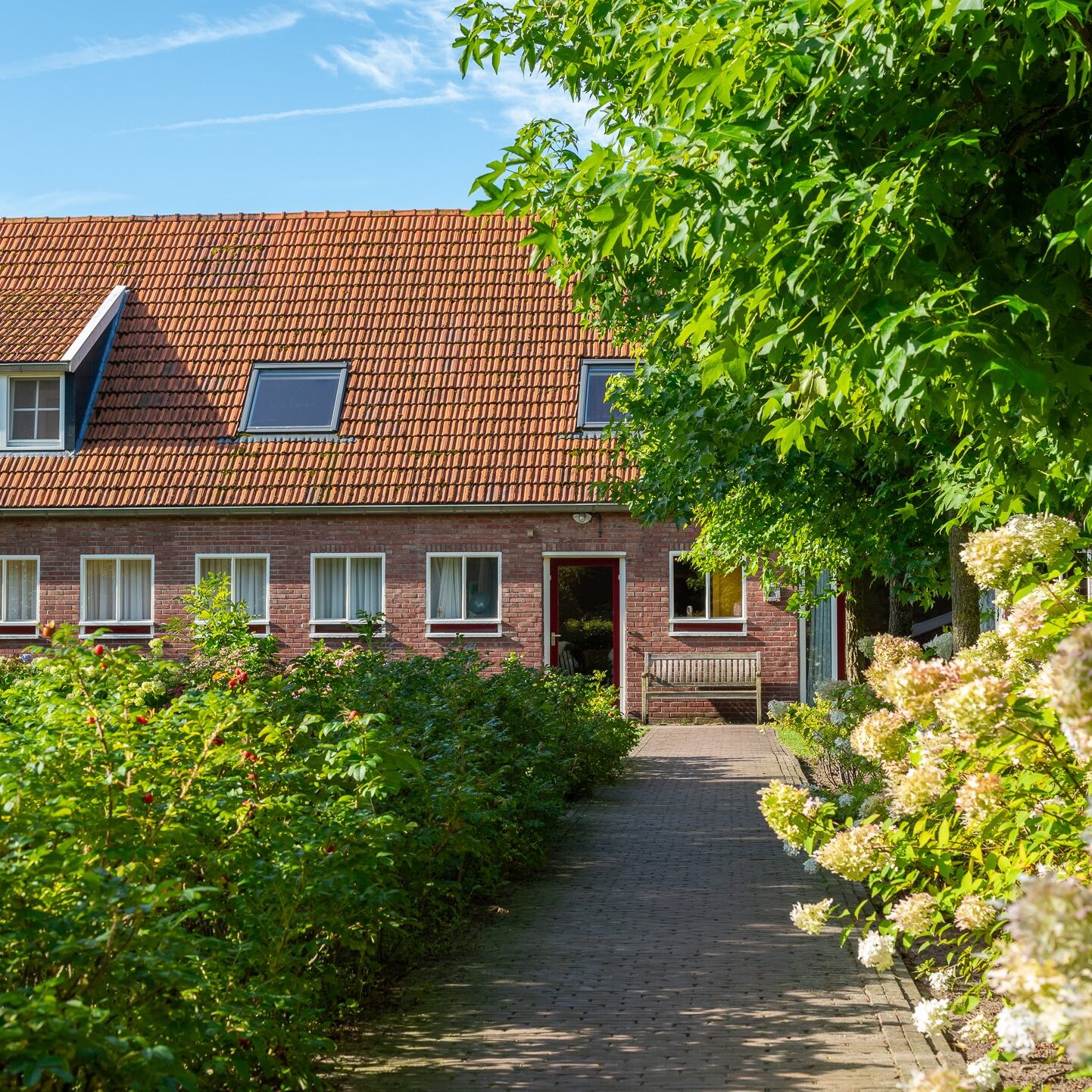 cursus in yoga om je te verdiepen en je te ontspannen