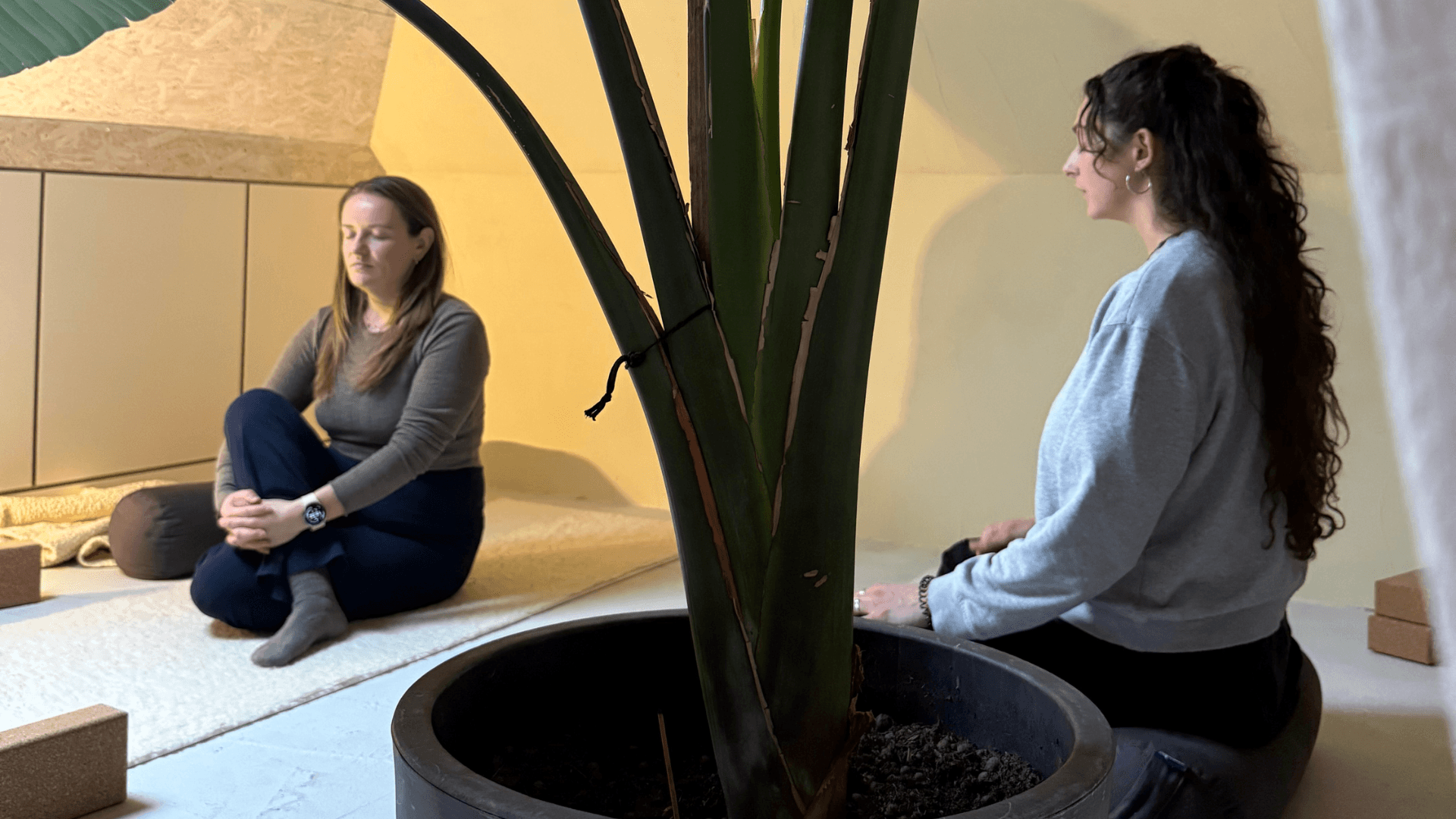 ervaring over yin yoga opleiding the heart of connection achterhoek