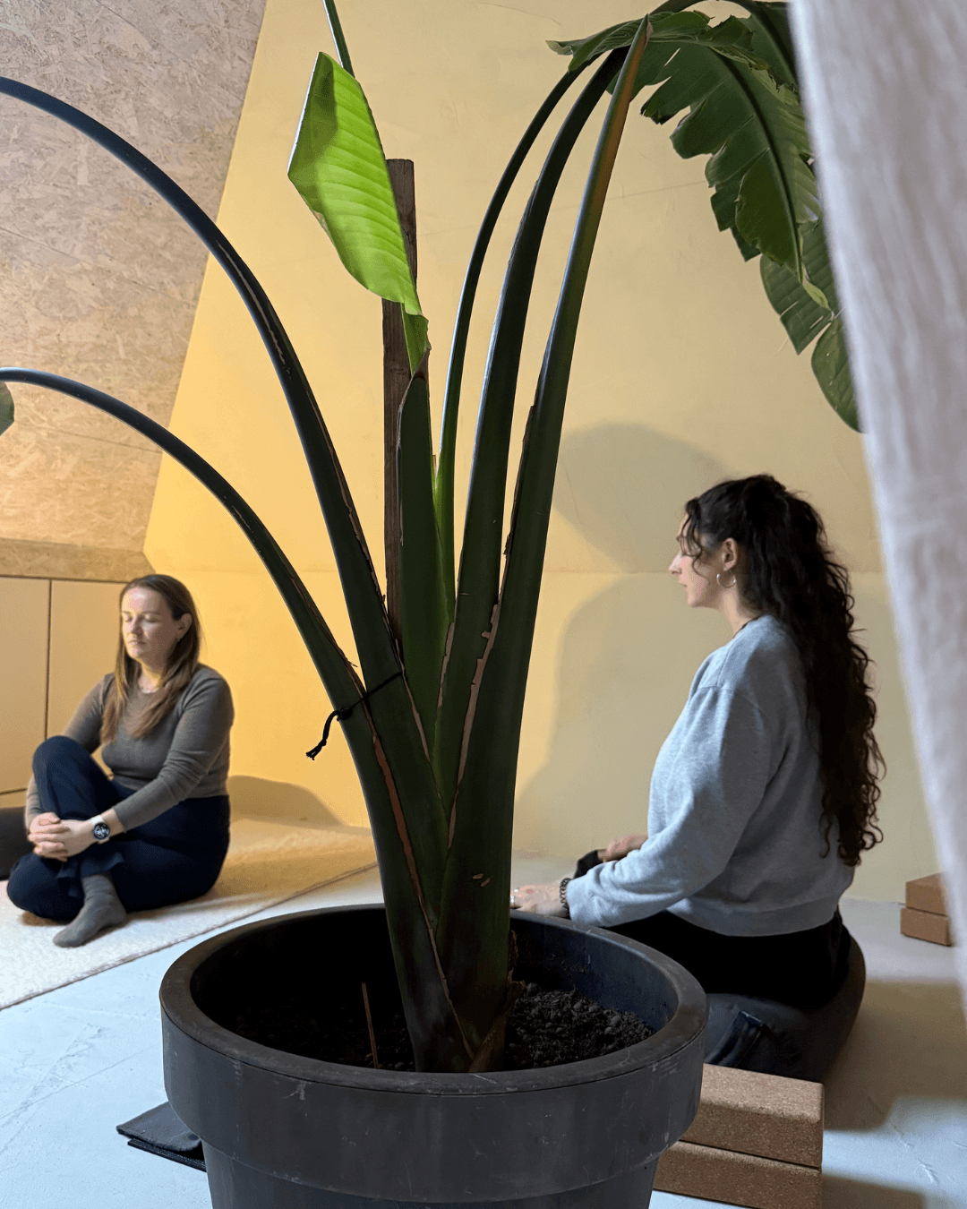 yin yoga in de natuur om helemaal te ontspannen en ontvangen